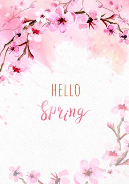 Pembe suluboya zemin üzerine kiraz çiçeği.