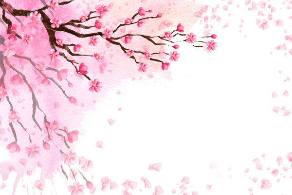 Spring background with a blossoming Sakura.