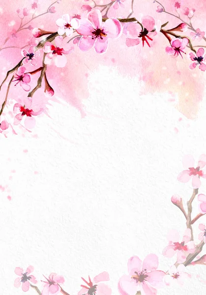 Kirschblüte auf rosa Aquarell Hintergrund. — Stockfoto