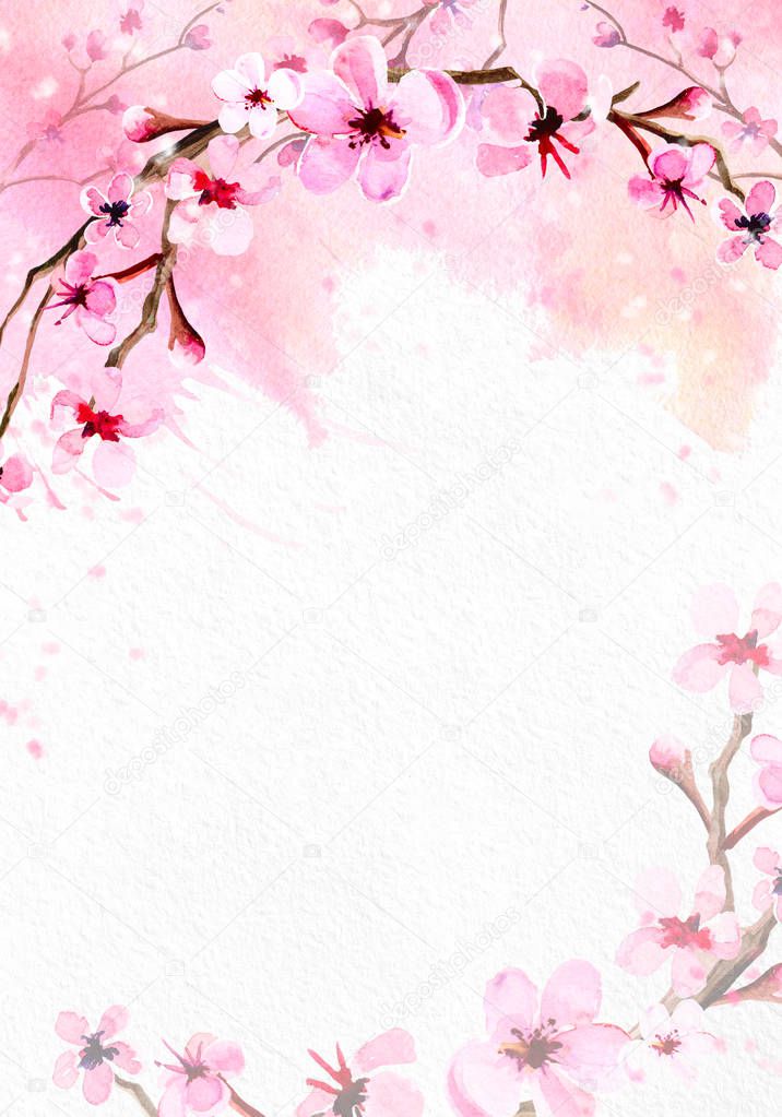 Cherry blossom on pink watercolor background.
