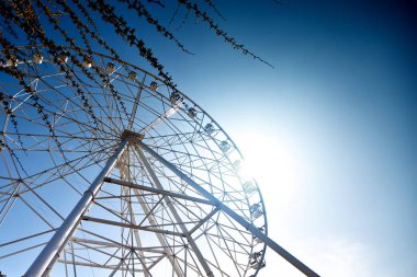 Büyük ve güzel bisiklet park.