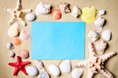 Tropik sahilde kabukları ile manzara. Kumsalda dinlenmek. Seyahat. Arka plan kopya alanı ile.