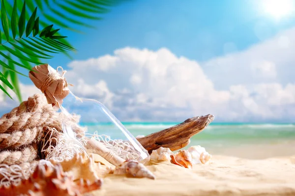 Paisaje con conchas en la playa tropical. Descansa en la playa. Viajes . —  Fotos de Stock