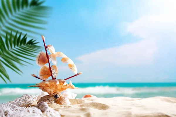Táj kagyló trópusi tengerparton. Pihenés a tengerparton. Utazás. Háttér-val másol hely. — Stock Fotó