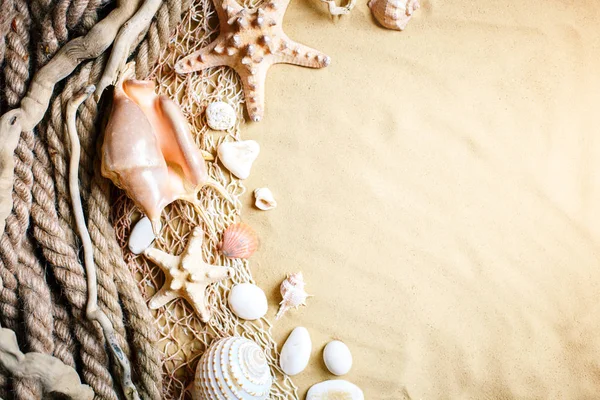 Paisaje con conchas en la playa tropical. Descansa en la playa. Viajar. Fondo con espacio de copia . — Foto de Stock