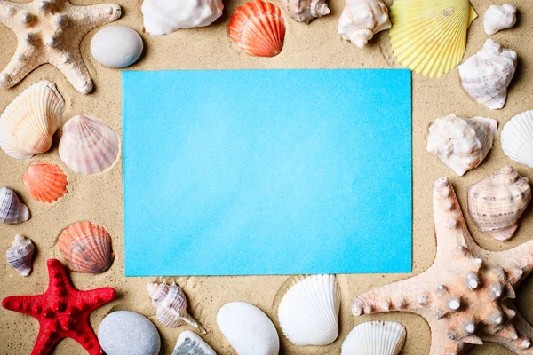 Landschap met schelpen op tropisch strand. Rusten op het strand. Reizen. Achtergrond met kopie ruimte. — Stockfoto