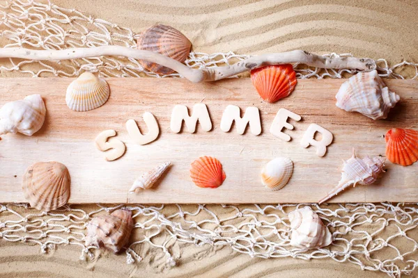 Paisaje con conchas en la playa tropical. Descansa en la playa. Viajes . — Foto de Stock