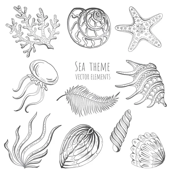 Набір векторних черепашок, морських зірок та медуз на білому тлі для дизайну. Векторні ілюстрації . — стоковий вектор