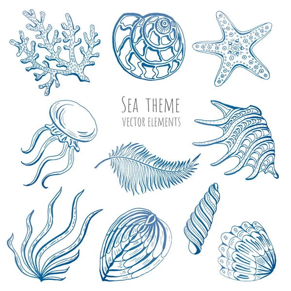 Ensemble de coquillages vectoriels, étoiles de mer et méduses sur fond blanc pour la conception. Illustration vectorielle . — Image vectorielle