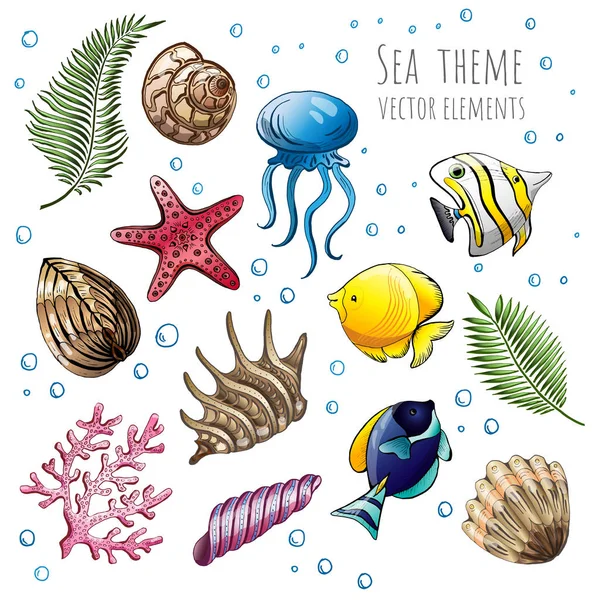Gyűjteménye vektor tengeri kagylókból, tengeri csillag és a fehér háttér a tervezési medúza. Vektoros illusztráció. — Stock Vector
