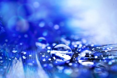 Güzel şeffaf su damlaları ya da yumuşak zeminde yağmur suyu. Makrofotoğrafçılık. Masaüstü arkaplanı. Seçici odak.