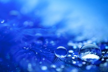 Güzel şeffaf su damlaları ya da yumuşak zeminde yağmur suyu. Makrofotoğrafçılık. Masaüstü arkaplanı. Seçici odak.