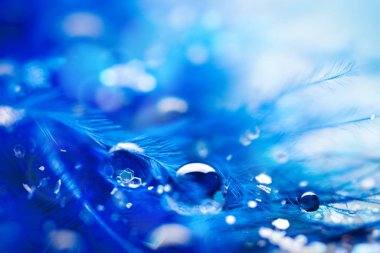 Güzel şeffaf su damlaları ya da yumuşak zeminde yağmur suyu. Makrofotoğrafçılık. Masaüstü arkaplanı. Seçici odak.