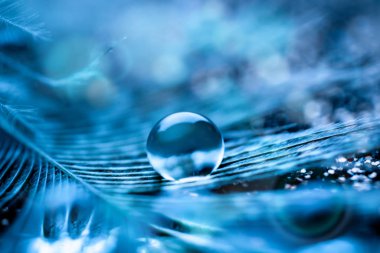 Güzel şeffaf su damlaları ya da yumuşak zeminde yağmur suyu. Makrofotoğrafçılık. Masaüstü arkaplanı. Seçici odak.