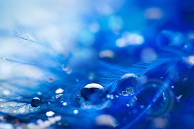 Güzel şeffaf su damlaları ya da yumuşak zeminde yağmur suyu. Makrofotoğrafçılık. Masaüstü arkaplanı. Seçici odak.