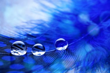 Güzel şeffaf su damlaları ya da yumuşak zeminde yağmur suyu. Makrofotoğrafçılık. Masaüstü arkaplanı. Seçici odak.