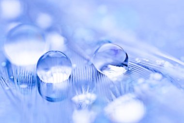 Güzel şeffaf su damlaları ya da yumuşak zeminde yağmur suyu. Makrofotoğrafçılık. Masaüstü arkaplanı. Seçici odak.