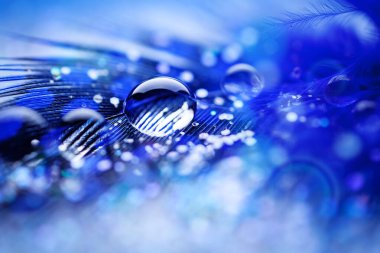 Güzel şeffaf su damlaları ya da yumuşak zeminde yağmur suyu. Makrofotoğrafçılık. Masaüstü arkaplanı. Seçici odak.