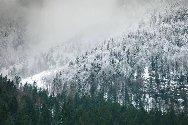 Вид на заснеженные горы, европейские красивые зимние горы в Альпах. Зимний пейзаж . — стоковое фото