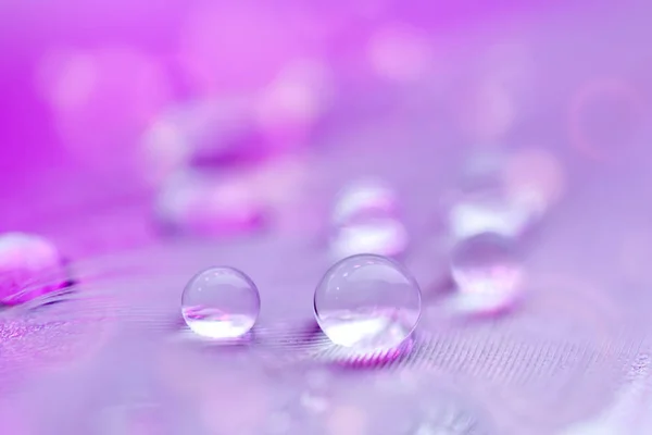 Beautiful transparent water drops or rain water on soft background. Macrophotography. Desktop background. Selective focus. — Stock Photo, Image