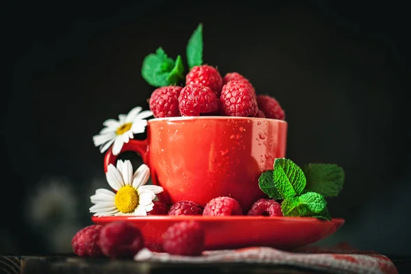 Frambuesa en una taza roja con manzanilla y hojas sobre un fondo oscuro. Verano y concepto de comida saludable. Enfoque selectivo . — Foto de Stock