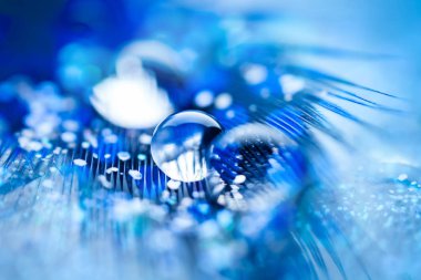 Güzel şeffaf su damlaları ya da yumuşak zeminde yağmur suyu. Makrofotoğrafçılık. Masaüstü arkaplanı. Seçici odak.