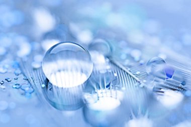 Güzel şeffaf su damlaları ya da yumuşak zeminde yağmur suyu. Makrofotoğrafçılık. Masaüstü arkaplanı. Seçici odak.