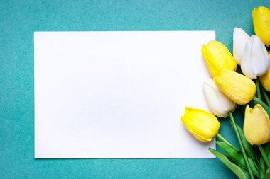 Bayram kartı için bahar çiçeklerinin arka planı. Kadınlar Günü 'nde. Seçici odaklanma. Yatay olarak. Üst Manzara. Kopyalama alanı olan arkaplan.