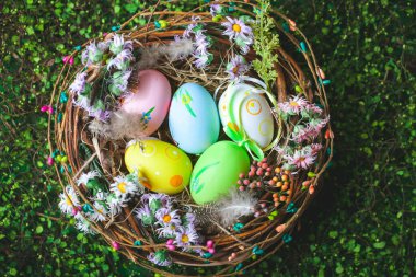 Mutlu Paskalyalar. Paskalya arkaplanını tebrik ederim. Paskalya yumurtaları ve çiçekler. Kopya alanı olan bir arkaplan. Seçici odaklanma. Üst görünüm.