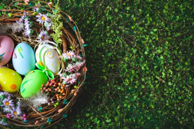 Mutlu Paskalyalar. Paskalya arkaplanını tebrik ederim. Paskalya yumurtaları ve çiçekler. Kopya alanı olan bir arkaplan. Seçici odaklanma. Üst görünüm.