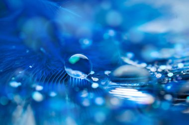 Güzel şeffaf su damlaları ya da yumuşak zeminde yağmur suyu. Makrofotoğrafçılık. Masaüstü arkaplanı. Seçici odak.