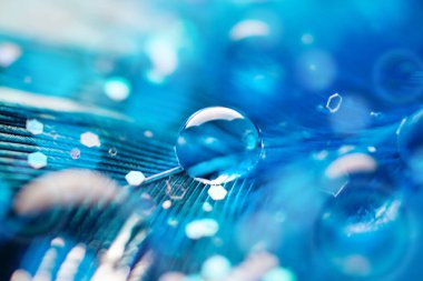 Güzel şeffaf su damlaları ya da yumuşak zeminde yağmur suyu. Makrofotoğrafçılık. Masaüstü arkaplanı. Seçici odak.