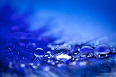 Güzel şeffaf su damlaları ya da yumuşak zeminde yağmur suyu. Makrofotoğrafçılık. Masaüstü arkaplanı. Seçici odak.