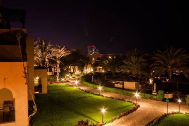 Deniz ve palmiye ağaçlarının güzel manzara