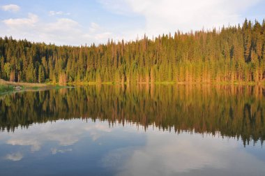 Sonbahar Orman Gölü yansıma