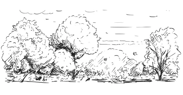 Dibujo esquemático del paisaje del parque natural — Vector de stock