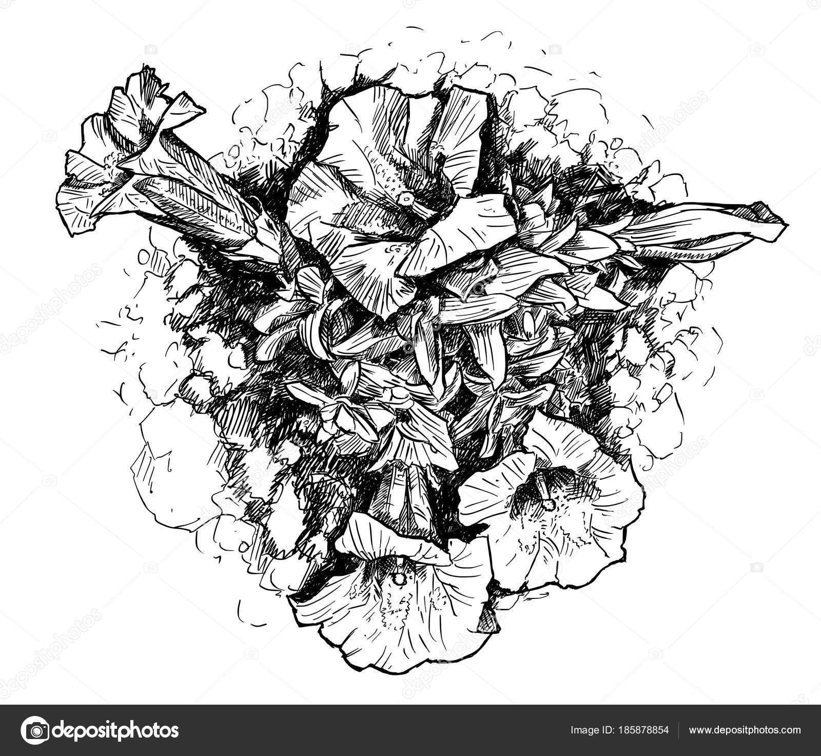 Vettore a penna ed inchiostro mano artistica disegno di fiori di genziana fioritura nel giardino roccioso o rock garden — Vettoriali di ursus zdeneksasek