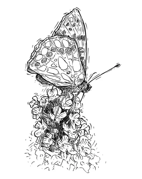 Vector Hand Drawing of Butterfly Feeding on Buddleja Bush - Stok Vektor