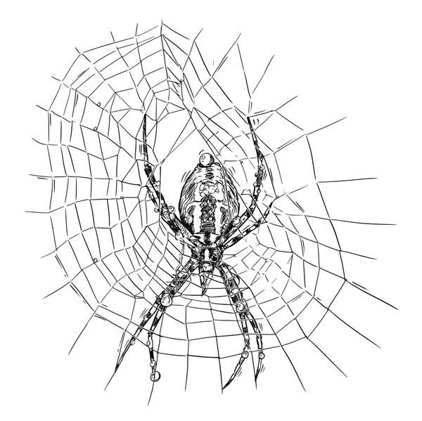 A vektoros rajzolás a Wasp Spider net — Stock Vector