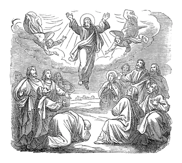 Vintage Antique Religious Biblical Drawing or Engraving of Resurrected Jesus Is Taken Up to Heaven.Bible, New Testament,Gospel of Luke 24 — 스톡 벡터