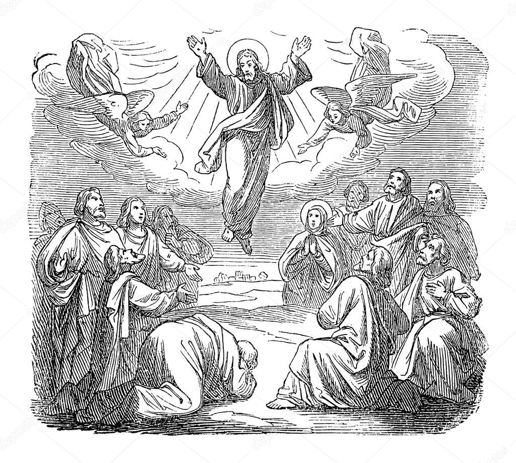 Vintage Antique Religious Biblical Drawing or Engraving of Resurrected Jesus Is Taken Up to Heaven.Bible, New Testament,Gospel of Luke 24