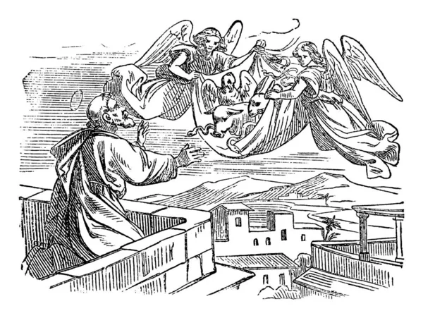 Vintage Antiguo Religioso Dibujo Bíblico o Grabado de la Visión de San Simón Pedro acerca de los Animales Llevados a Ser Comidos.Biblia, Nuevo Testamento, Hechos 10 — Vector de stock
