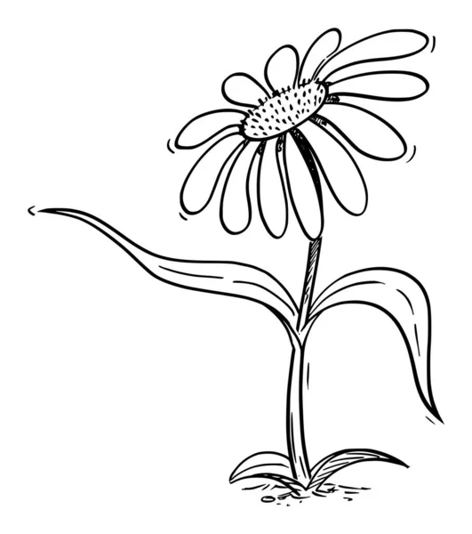 Virágzó Daisy Plant rajzfilm karakter mutató valamit levél, vektor illusztráció — Stock Vector