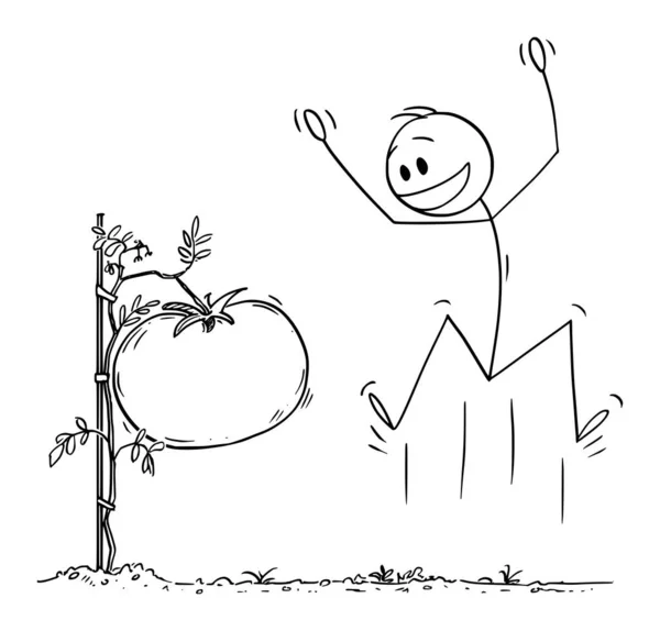 Dessin animé vectoriel Illustration d'un homme ou d'un agriculteur célébrant la culture de légumes géants ou gros tomates dans son jardin ou sa ferme — Image vectorielle