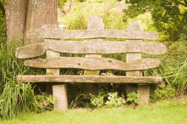 eski yıpranmış ahşap park bankında