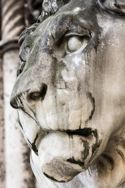 Historic stone lion sculpture — Stock Photo, Image