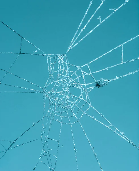 Macro abstrato de uma teia de aranha congelada — Fotografia de Stock