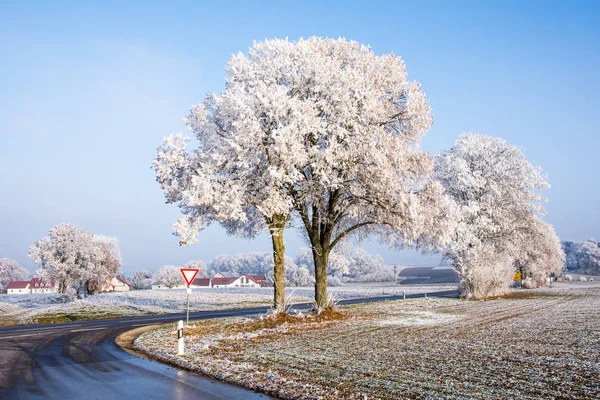 Landweg in een winterlandschap met berijpte bomen — Stockfoto