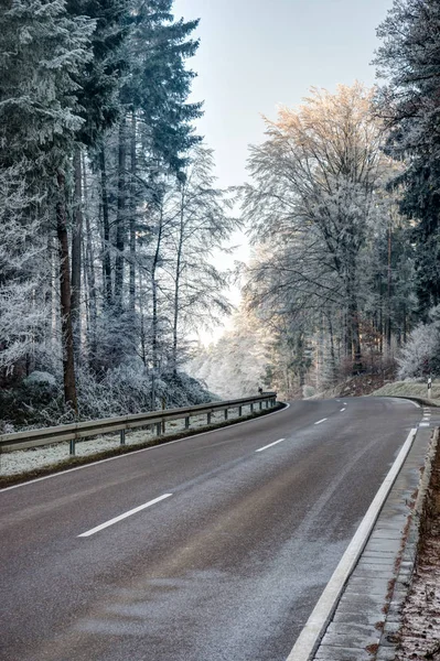 Road through a forest with frosted trees — Stock Photo, Image