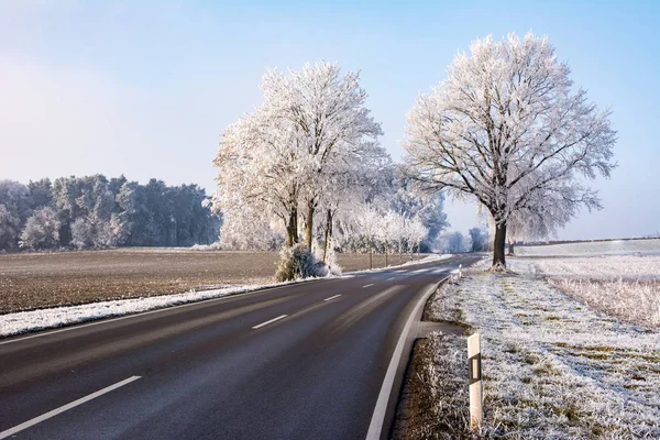 Country road in a winter landscape with frosted trees — Stock Photo, Image